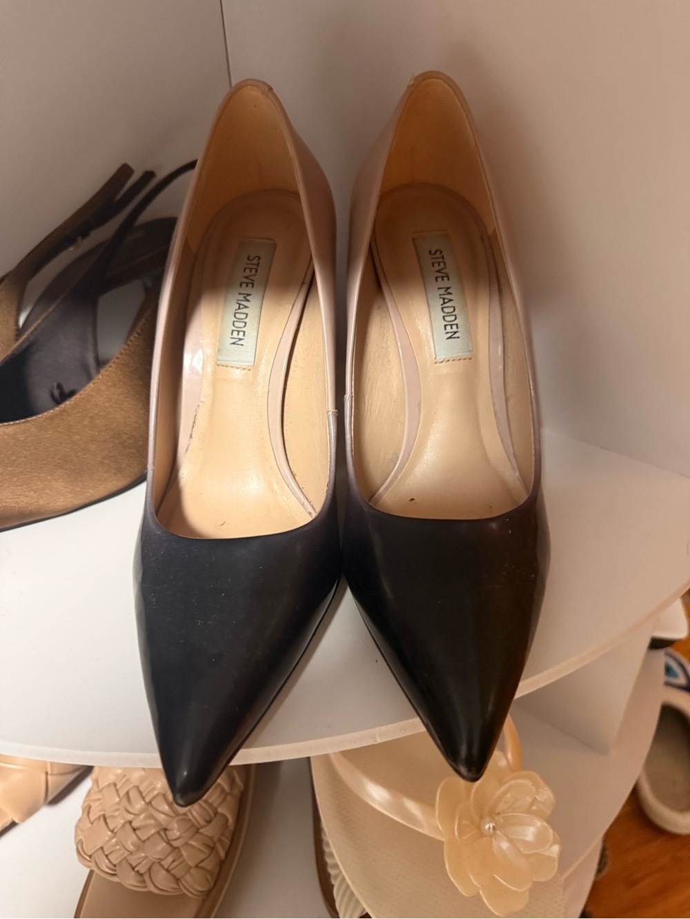 Steve Madden Women's Black gradient to beige Pointed Toe Pumps